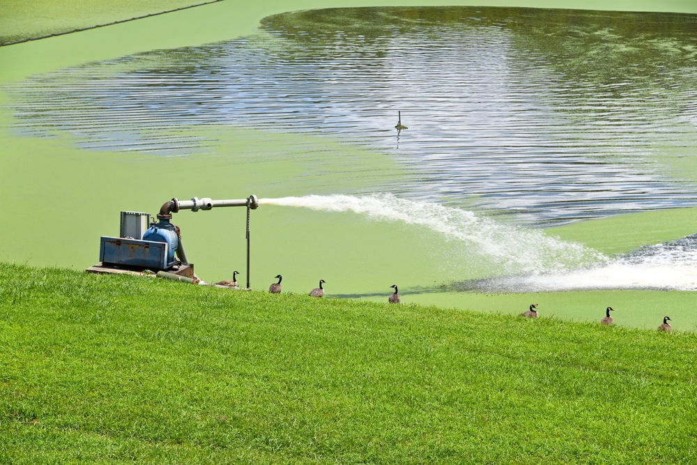 ISO 14001:2015: Environmental Management System Implementation Course