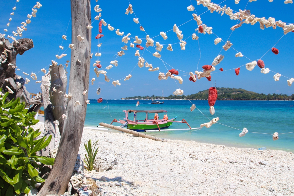 Training courses in Bali