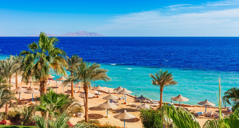 Training courses in Sharm El Sheikh